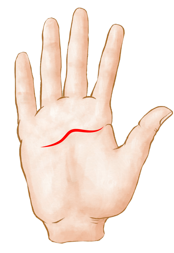 Interrompida