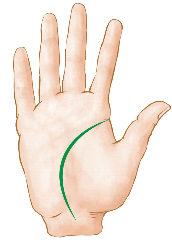 Profunda