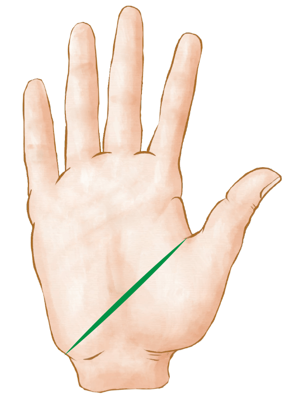 Interrompida