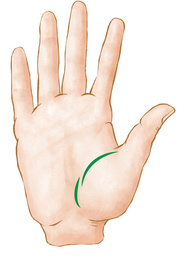 Ramificada